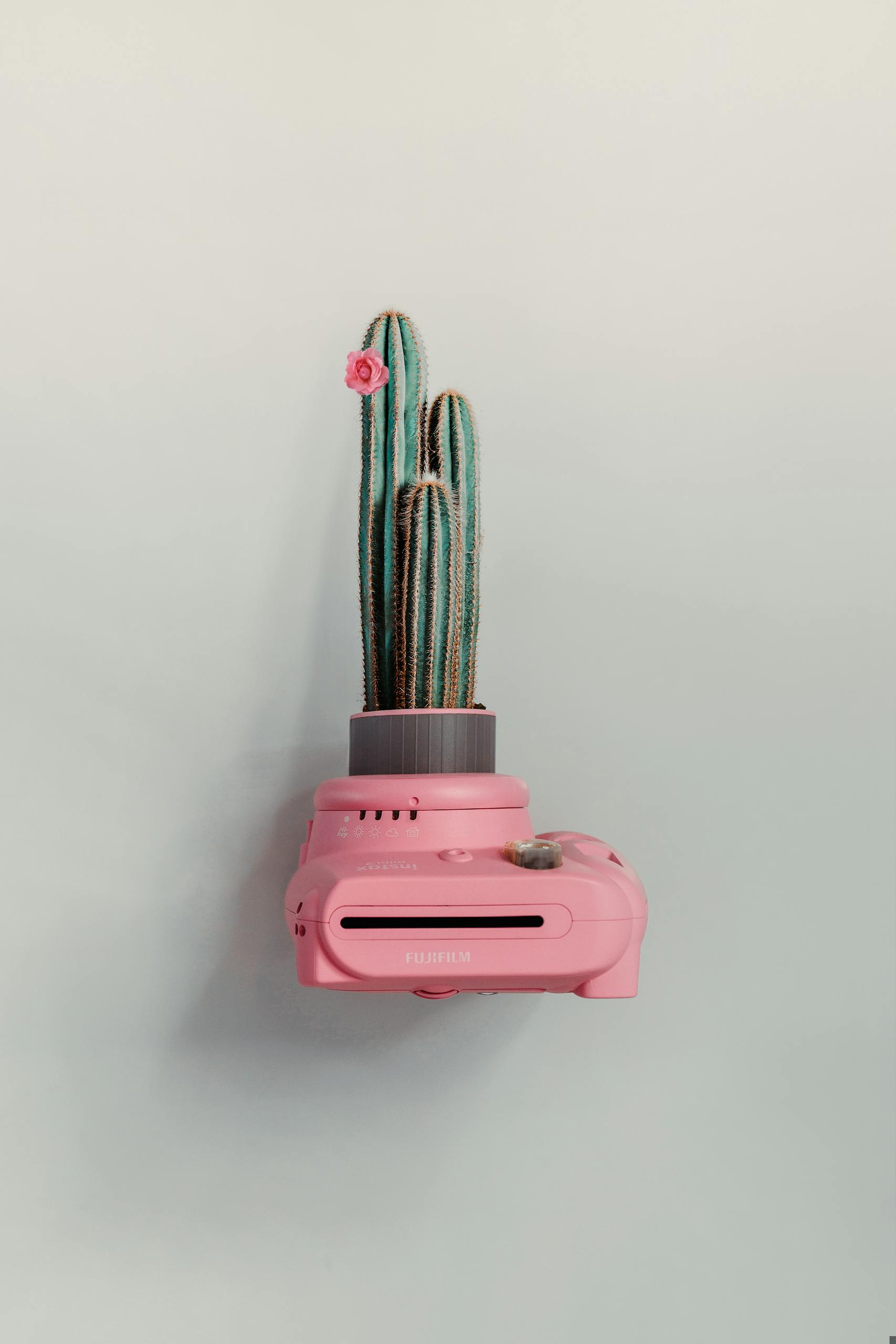 Is It Normal to Have Bumps on the Penis?