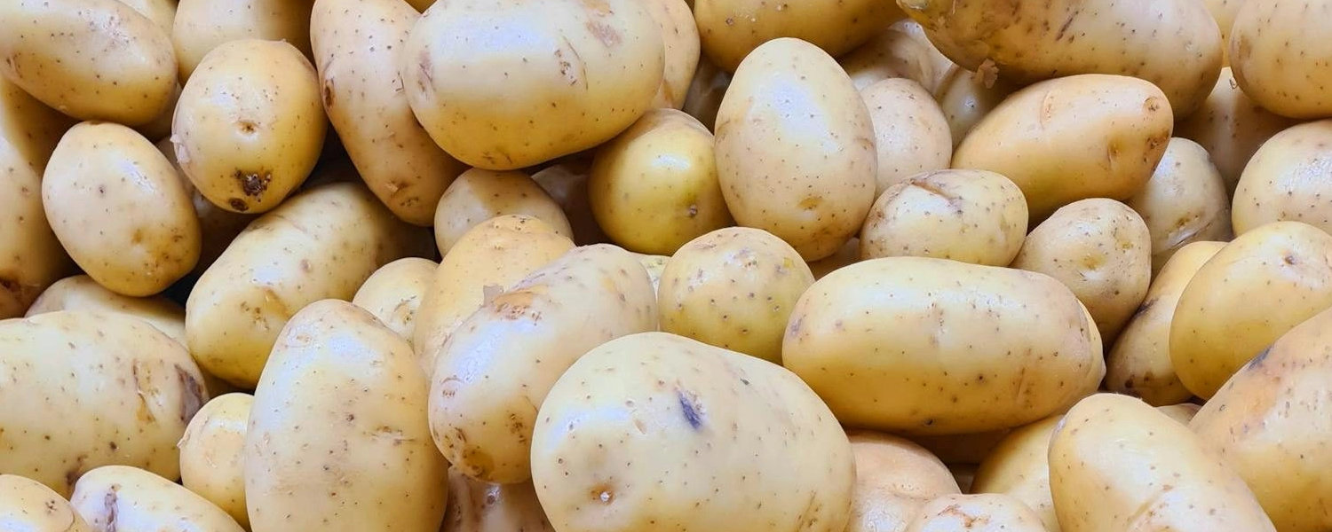 small-bumps-on-the-penis-common-causes-and-what-they-mean
