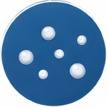 clinical illustration of Molluscum Contagiosum