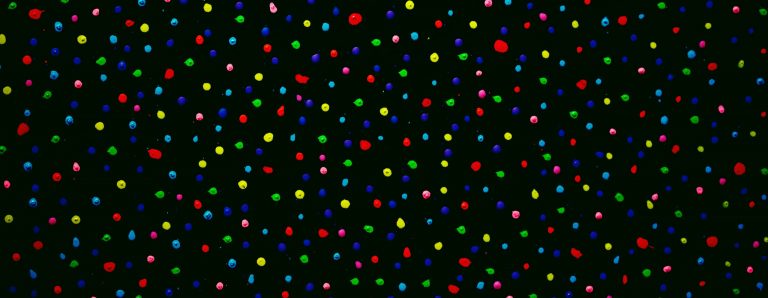 PPP Spots and Bumps Explained